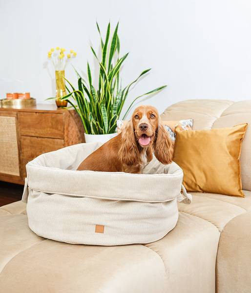 Hunde Korb  Louis Cord Braun - Textil - 60 x 60 x 60 cm