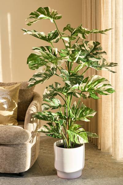 Kunstpflanze Monstera kaufen | home24