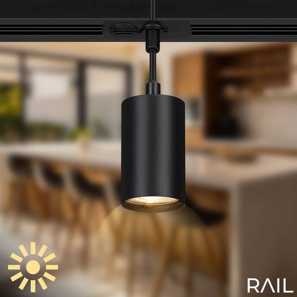 Pendelleuchte Schienensystem 8016045 Schwarz