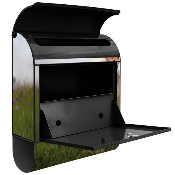 Briefkasten Stahl Französische Bulldogge Schwarz - Stahl - 38 x 46 x 13 cm