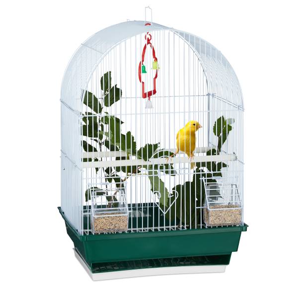 Kleiner Vogelkäfig mit Zubehör kaufen