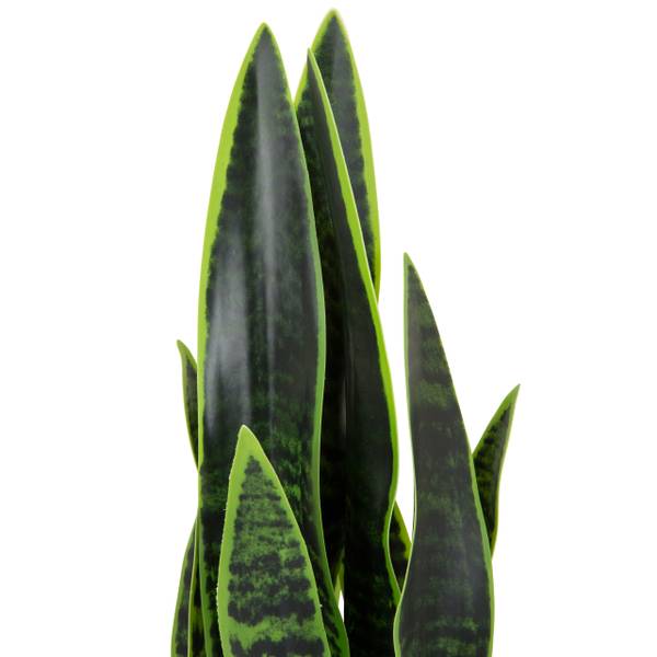 Kunstpflanze SANSEVIERIA Grün - Kunststoff - 16 x 65 x 16 cm