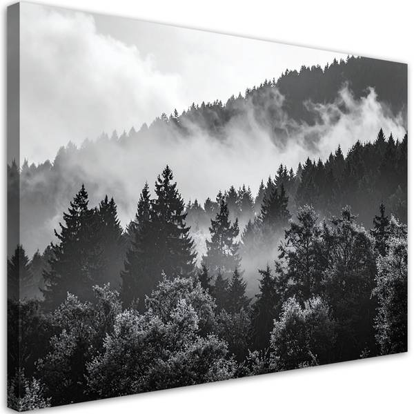 Canvas schilderij Natuur 100 x 70 cm