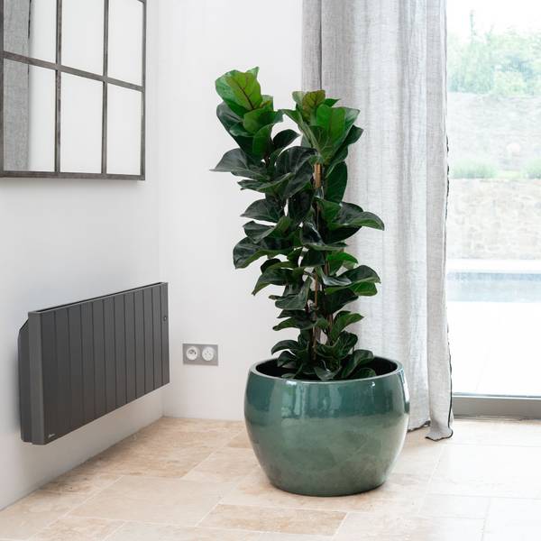 Pflanzkübel Romulus 21 x 15 x 21 cm