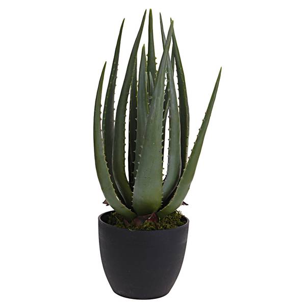 Kunstpflanze Aloe Grün - Kunststoff - 25 x 45 x 25 cm