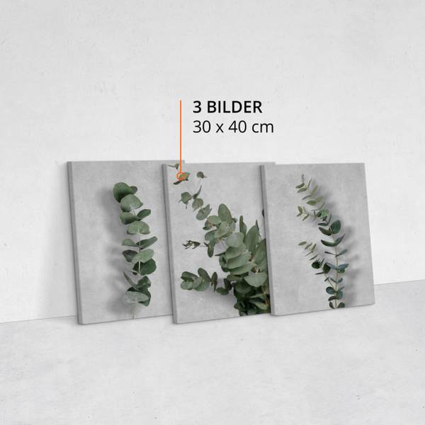 Afbeeldingen EUCALYPTUS Blad Set Van 3 grijs - groen - linnen - 90 x 40 x 40 cm