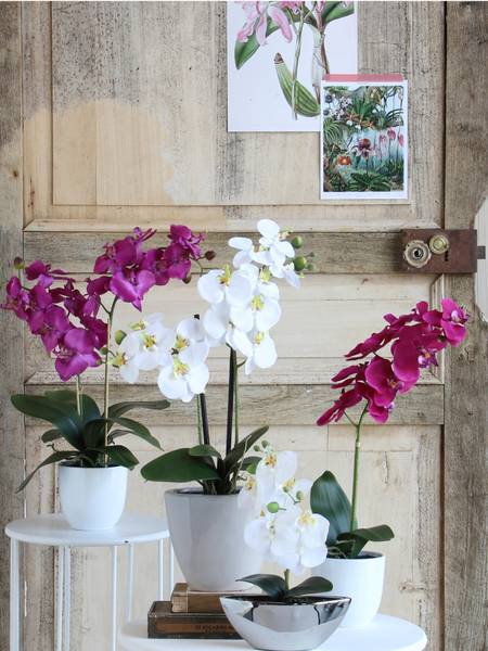 Plante artificielle Phalaenopsis Mauve - Textile - 16 x 60 x 16 cm