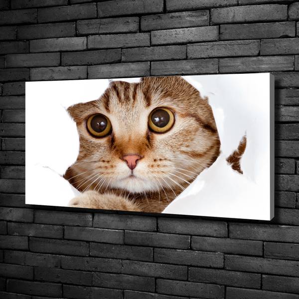 Wandbild Katze Beige - Mischgewebe - 100 x 50 x 4 cm