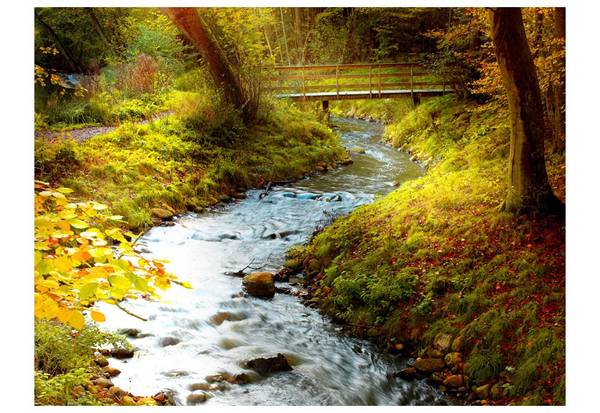 Vliestapete Fluss & Wasserfall Jec 200 x 154 cm