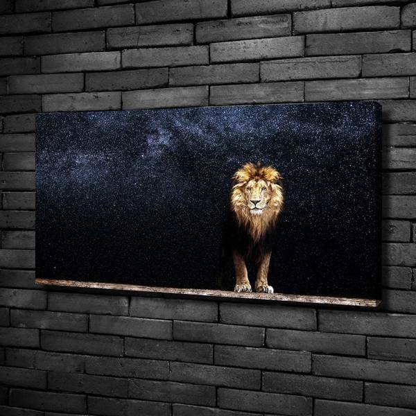 Wandbild Löwe Sterne Braun - Mischgewebe - 100 x 50 x 4 cm