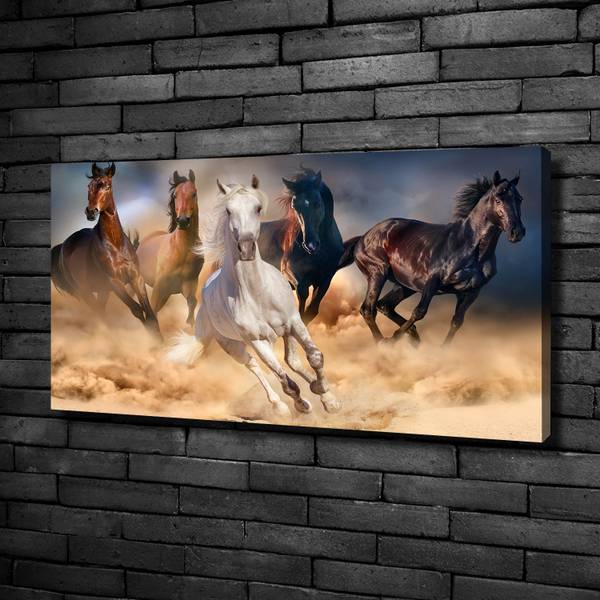 Wandbild Pferde im Galopp Braun - Mischgewebe - 100 x 50 x 4 cm