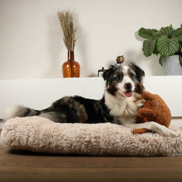 Hundespielzeug Liz Braun - Textil - 18 x 15 x 27 cm