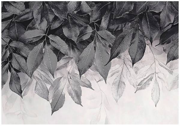 Fototapete Blätter Natur Wohnzimmer 200 x 140 cm
