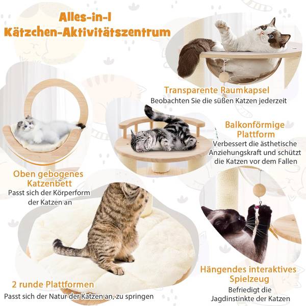 wie befriedigen sich katzen Kunde Befriedigung Umfrage, 4k Animation von Mann schreien mit Befriedigung  Emoticon. 66269521 Stock-Video bei Vecteezy main image 1
