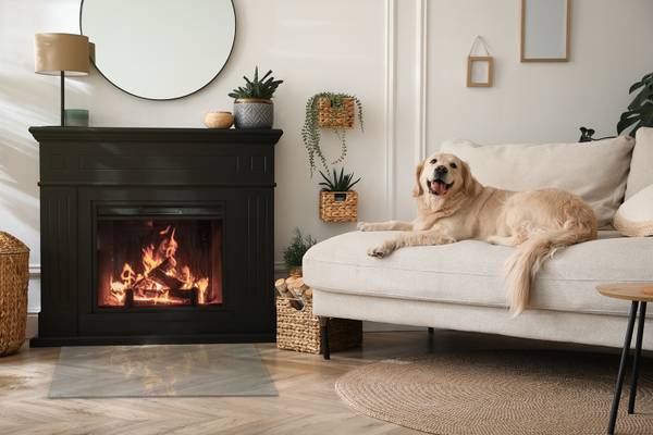 Glasplatte Recta Breite: 80 cm