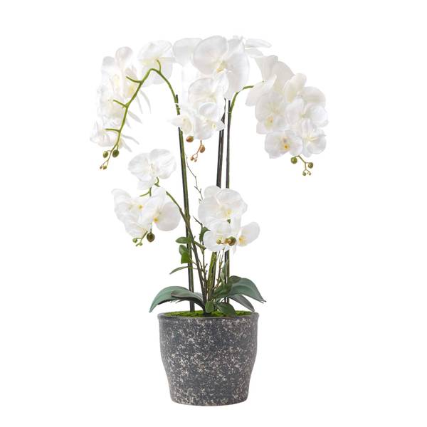 Kunstblume Phalaenopsis-Orchidee Weiß - Polyester - 48 x 82 x 82 cm