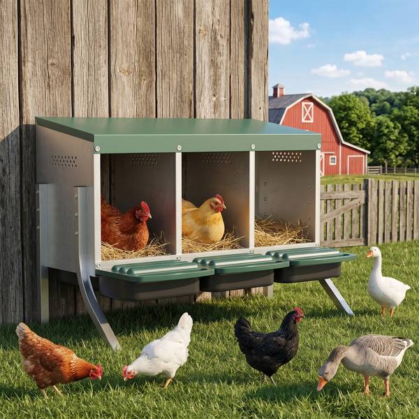 Legenester für Hühner D51-577V00SR Silber - Metall - 55 x 61 x 84 cm