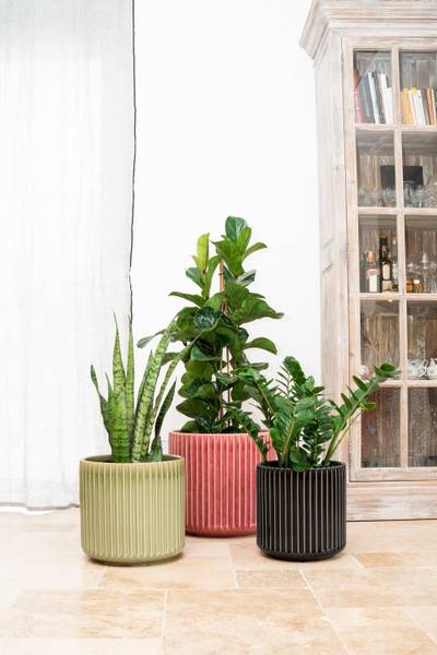 Blumentopf London Grau - 35 x 33 x 35 cm