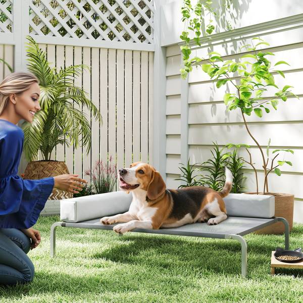 Hundebett D04-298V00LG Grau - Textil - 75 x 30 x 110 cm