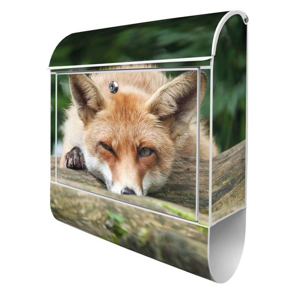 Briefkasten Stahl Fuchs Relax Weiß - Stahl - 38 x 46 x 13 cm