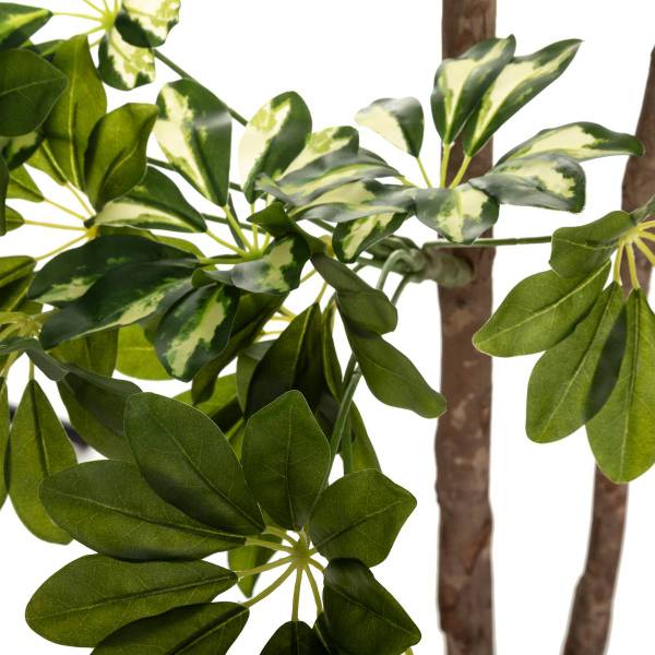 Künstliche Schefflera SCHEFFLERA Grün - Kunststoff - 65 x 135 x 70 cm