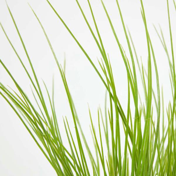 Ciboulette Artificielle AP1551 Vert - Polyéthylène - 10 x 28 x 28 cm