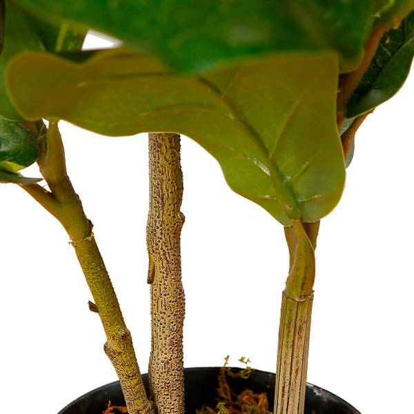 Künstliche Pflanzen Fiddle Leaf Grün - Metall - 45 x 85 x 45 cm