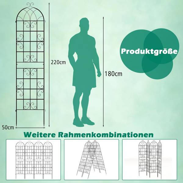 Rankgitter SF6571PWDE(2er-Set) Schwarz - Metall - 1 x 220 x 50 cm