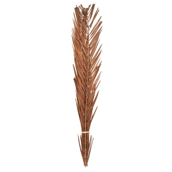 Natürliche Trockenblumen KANI Naturfaser - 15 x 95 x 2 cm