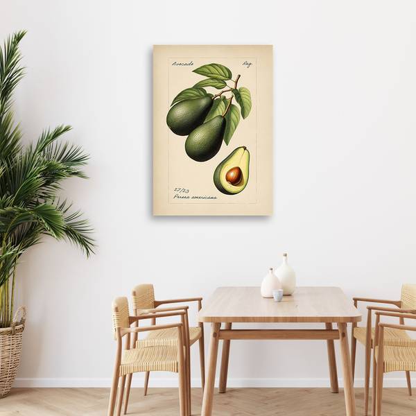 Tableau déco fruits vintage avocat 40 x 60 cm