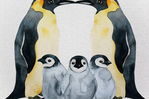 Leinwand Pinguinfamilien-Druck Polyester - 3 x 60 x 40 cm