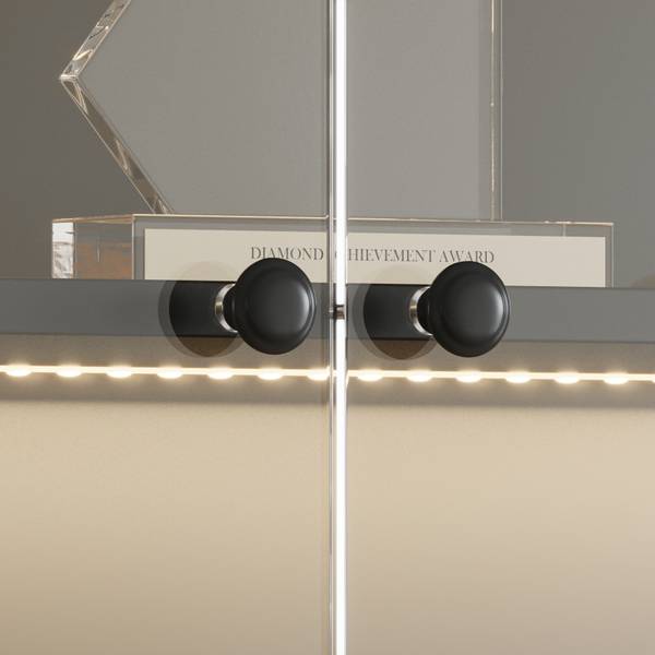 Glasvitrine LX541 Schwarz - Holzwerkstoff - Glas - 80 x 165 x 35 cm
