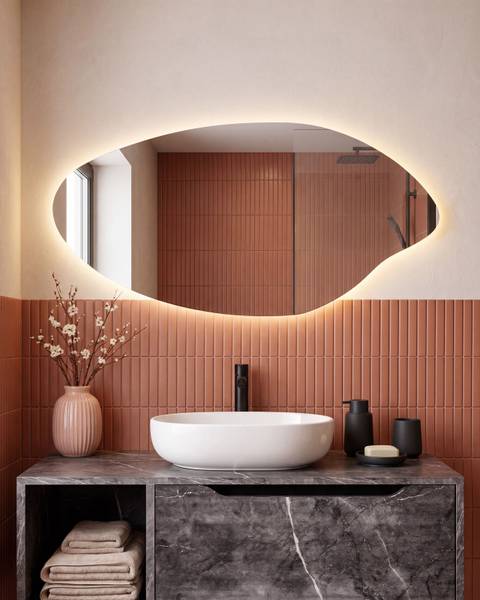 Badezimmerspiegel SOLOGNY Silber - Glas - 120 x 60 x 3 cm