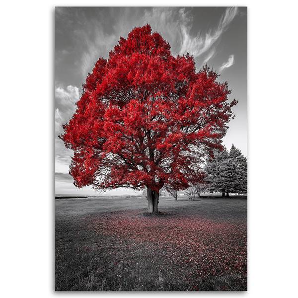 Tableau déco Grand arbre Paysage 60 x 90 cm