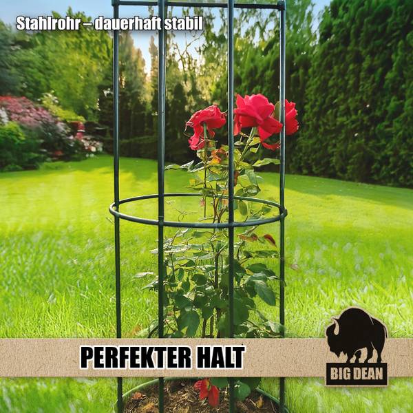 Rankhilfe 1000578 Grün - Metall - 38 x 193 x 193 cm
