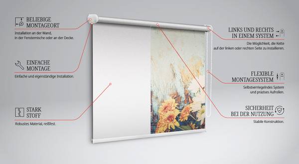 Innenrollo CYANANTH 60 x 140 cm