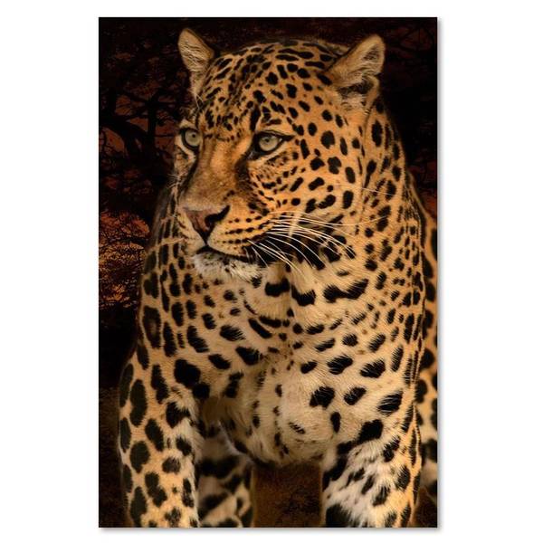 Wandbild foto eines leoparden 80 x 120 cm