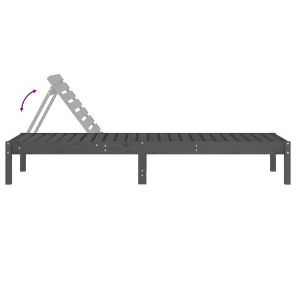 Sonnenliege 3029066-2 (2er Set) Grau - Kiefer - 60 x 74 x 199 cm