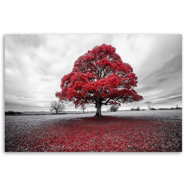 Wandbild baum landschaft landschaft 60 x 40 cm