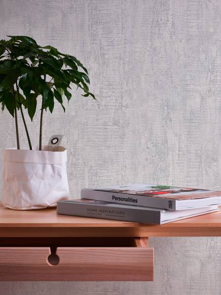 Vliestapete Beton-Optik Tapete glatt Beige - Grau