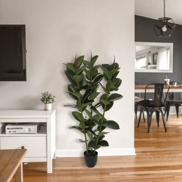 Knstlicher Ficus FICUS kaufen | home24