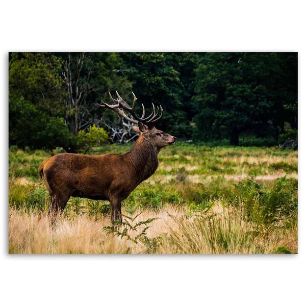 Wandbild hirsch auf der brunft 90 x 60 cm