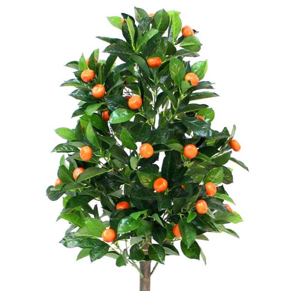 Mandarinenbaum HH-HD8111 Grün - Kunststoff - 65 x 125 x 65 cm