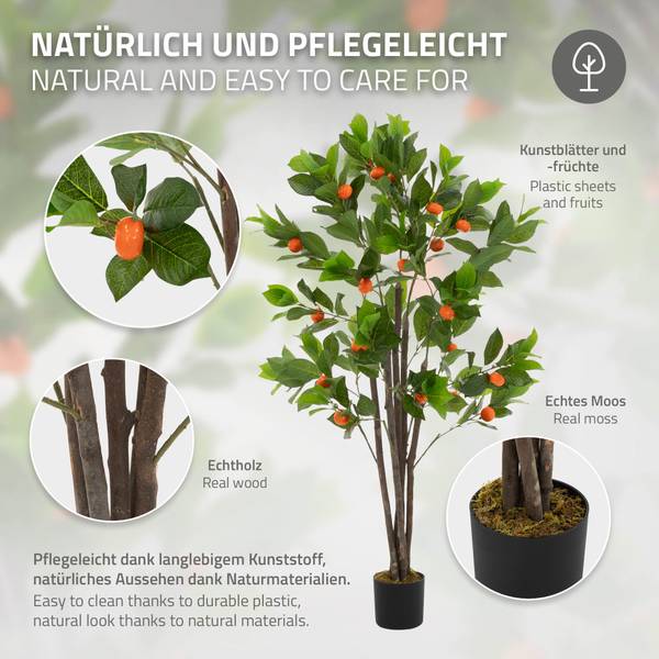 Orangenbaum MILANO Höhe: 160 cm