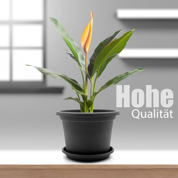 Blumentopf 1770435 4er Set Grau - Kunststoff - 30 x 22 x 30 cm