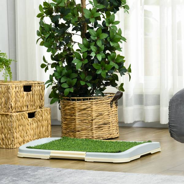 Hundetoilette D07-045V01LB Grün - Kunststoff - 49 x 6 x 63 cm