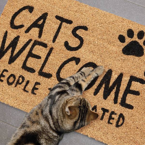 Kokos Fußmatte Cats Welcome Beige - Schwarz - Naturfaser - Kunststoff - 60 x 2 x 40 cm