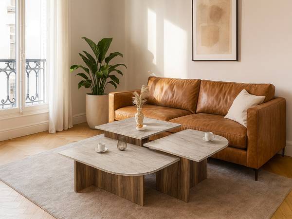 Couchtisch OMELINA Beige - Holz teilmassiv - 65 x 45 x 60 cm