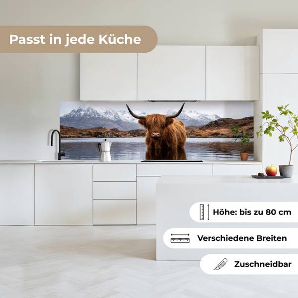 KÜCHENRÜCKWAND Hochlandrind 200 x 60 cm