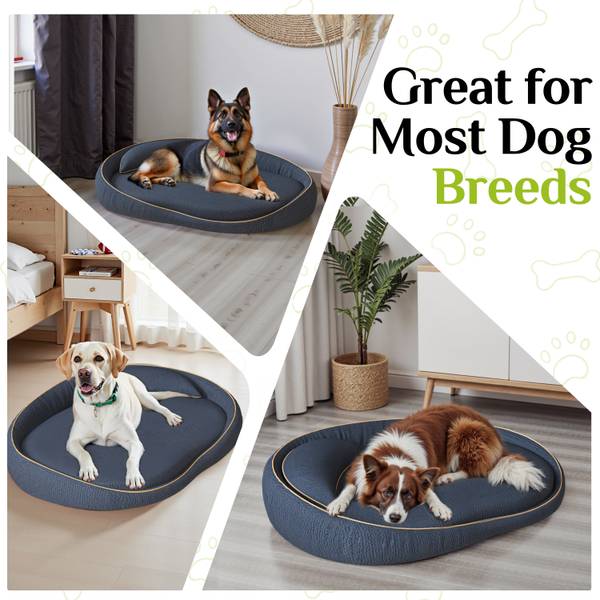 Lit pour chien 4060 Bleu - Polyester - 81 x 25 x 110 cm